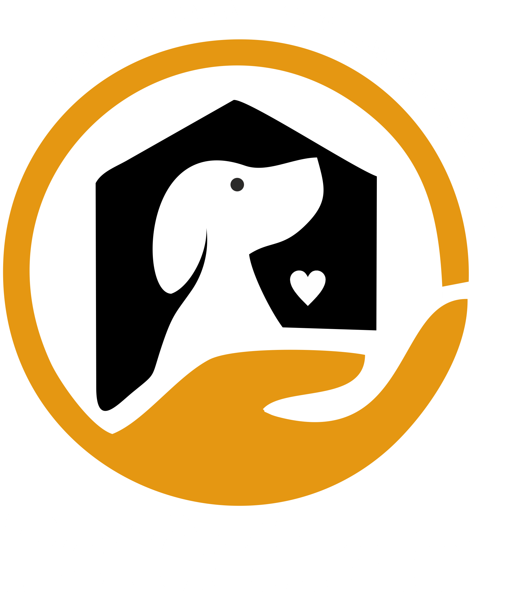 PetAshram-Compassionate Care For Every Dog That Stays With Us